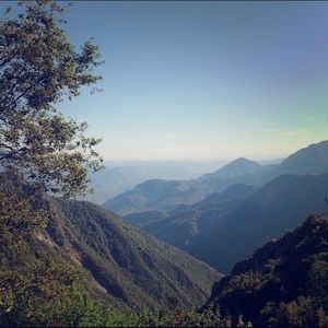 Meet your Posher, Eliza